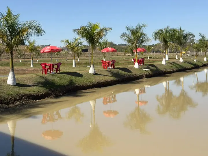 Tanque de pesca do Pesqueiro Bueno com palmeiras e mesas na margem refletidas na água
